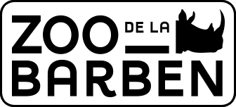 Zoo de la Barben : tarifs, billets, horaires - Instinct Animal