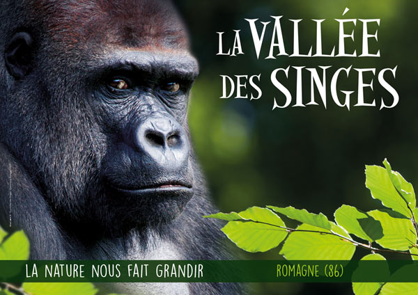 Tarifs des billets à la Vallée des Singes - Zoo - Instinct animal