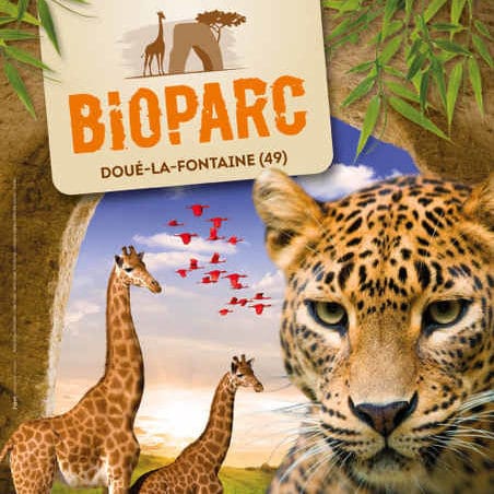 Bioparc Doué-la-Fontaine : tarifs, horaires, Instinct Animal Bioparc Doué-la-Fontaine : tarifs, horaires, Instinct Animal