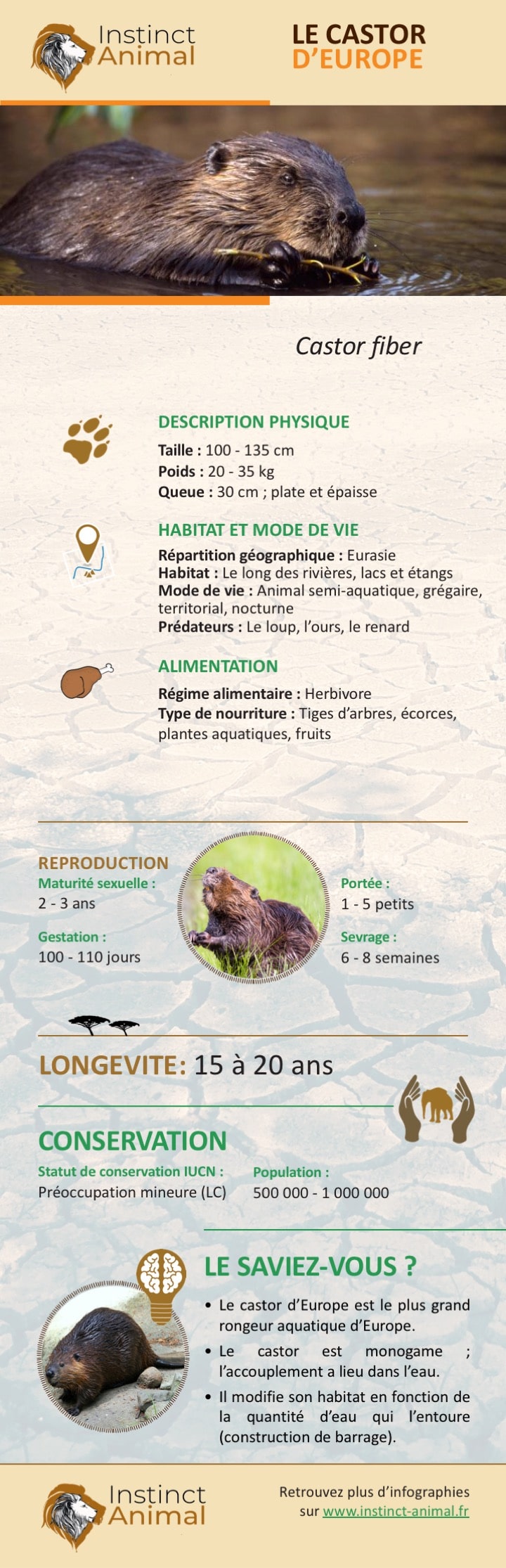 https://www.instinct-animal.fr/castor-europe-infographie-2/