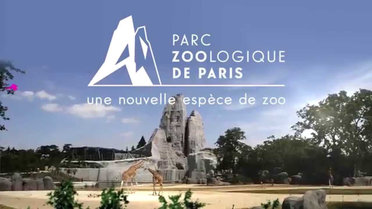 Parc zoologique de Paris : tarifs, billets, horaires - Instinct Animal