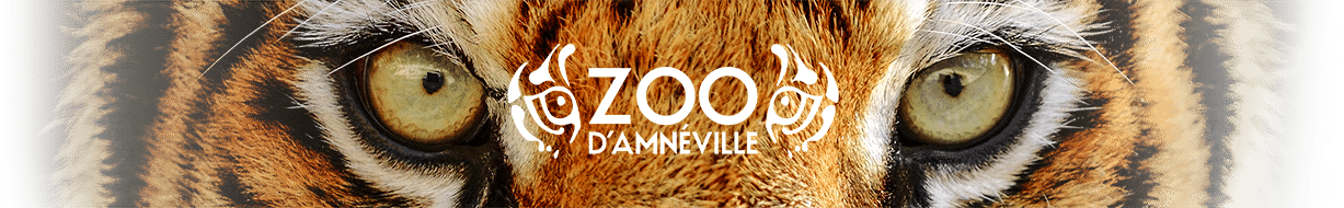 Zoo d'Amnéville : tarifs, billets, horaires, adresse - Instinct Animal