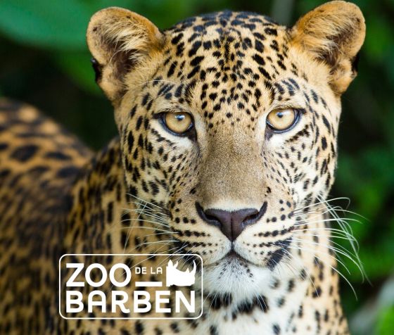 Zoo de la Barben : tarifs, horaires, adresse - Instinct Animal