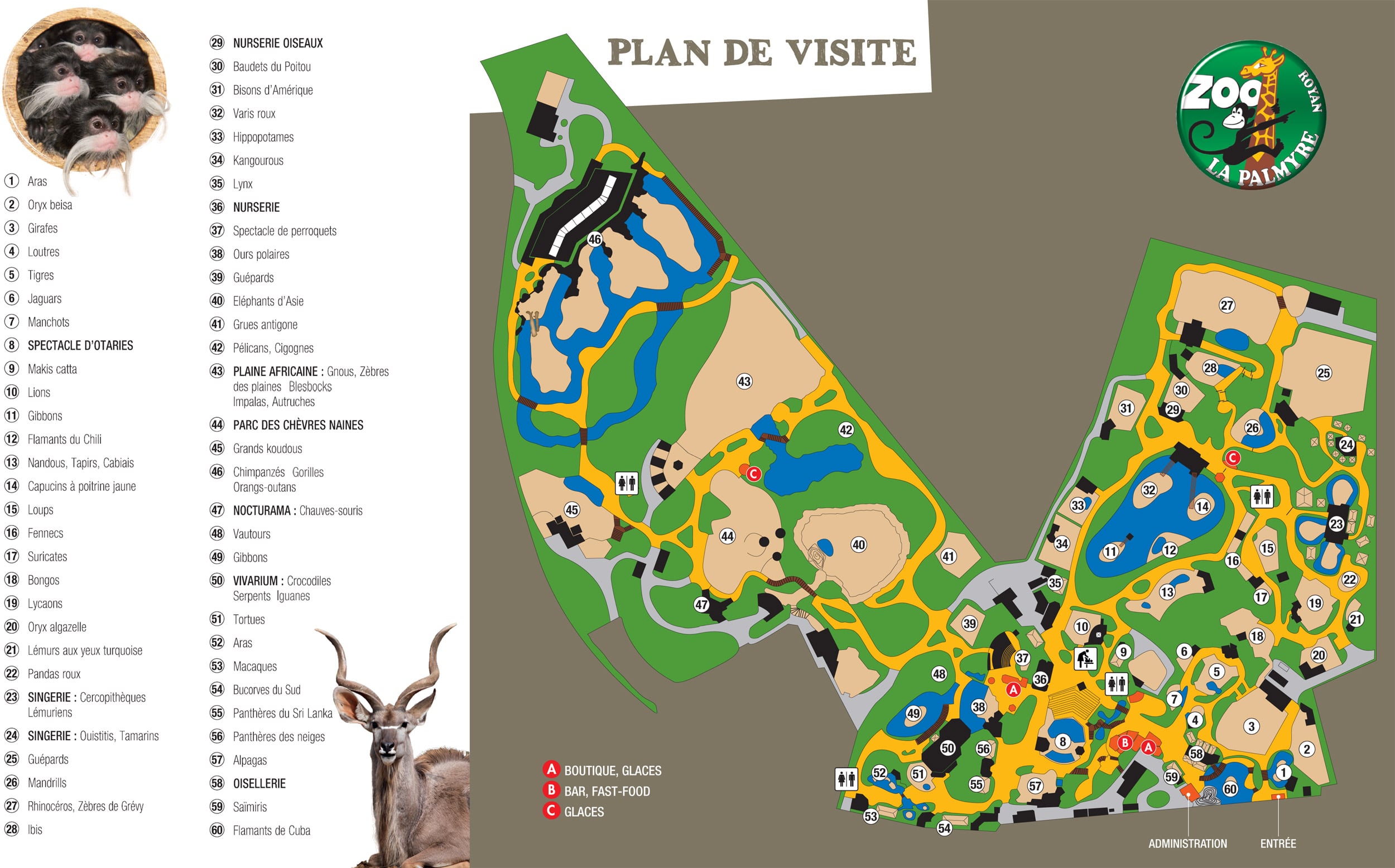 Plan du parc du zoo de La Palmyre - Instinct Animal