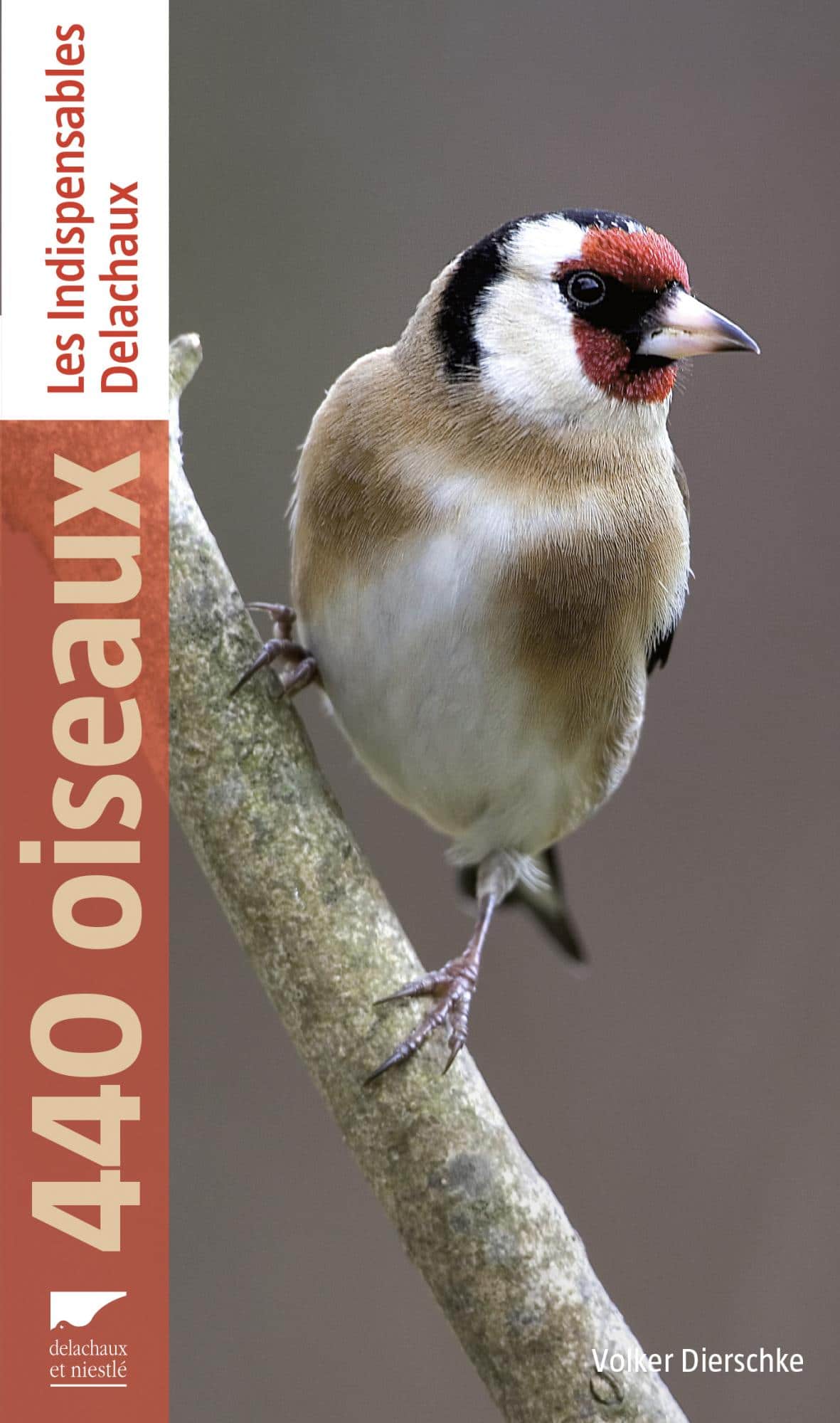 Ornithologie - Accessoires de jardin pour les oiseaux