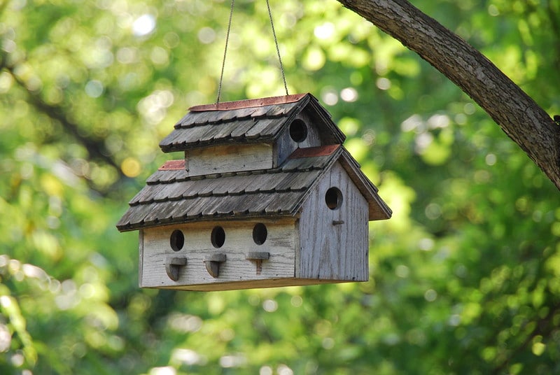 Bird box en forme de nichoir avec trou pour jardin ou oiseaux sauvages 