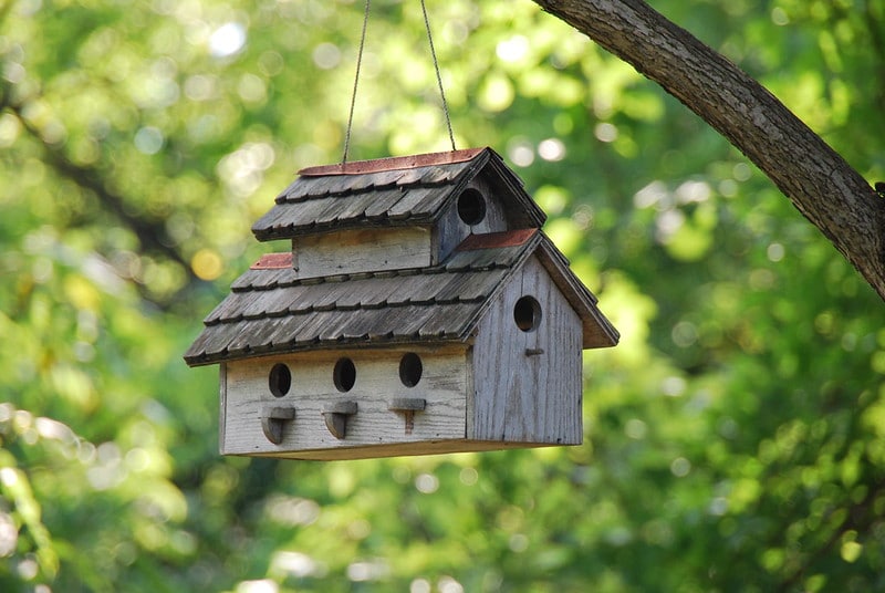 Un nichoir ouvert pour le plus grand plaisir des oiseaux de votre jardin.