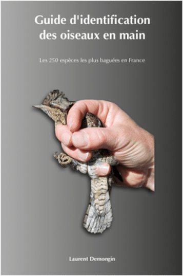 Guide d'identification des oiseaux en main - livre ornithologie