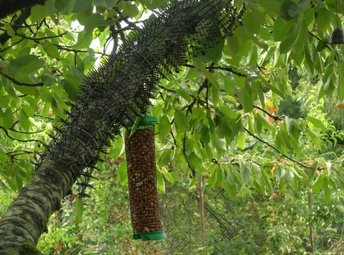 Grille stop chat empêche le félin d'attraper les oiseaux