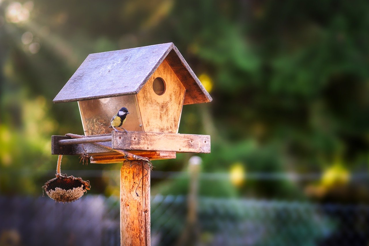 Quelle mangeoire placer au jardin pour les oiseaux ?