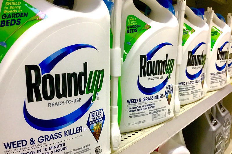 Le Roundup, pesticide nocif pour les populations d'oiseaux