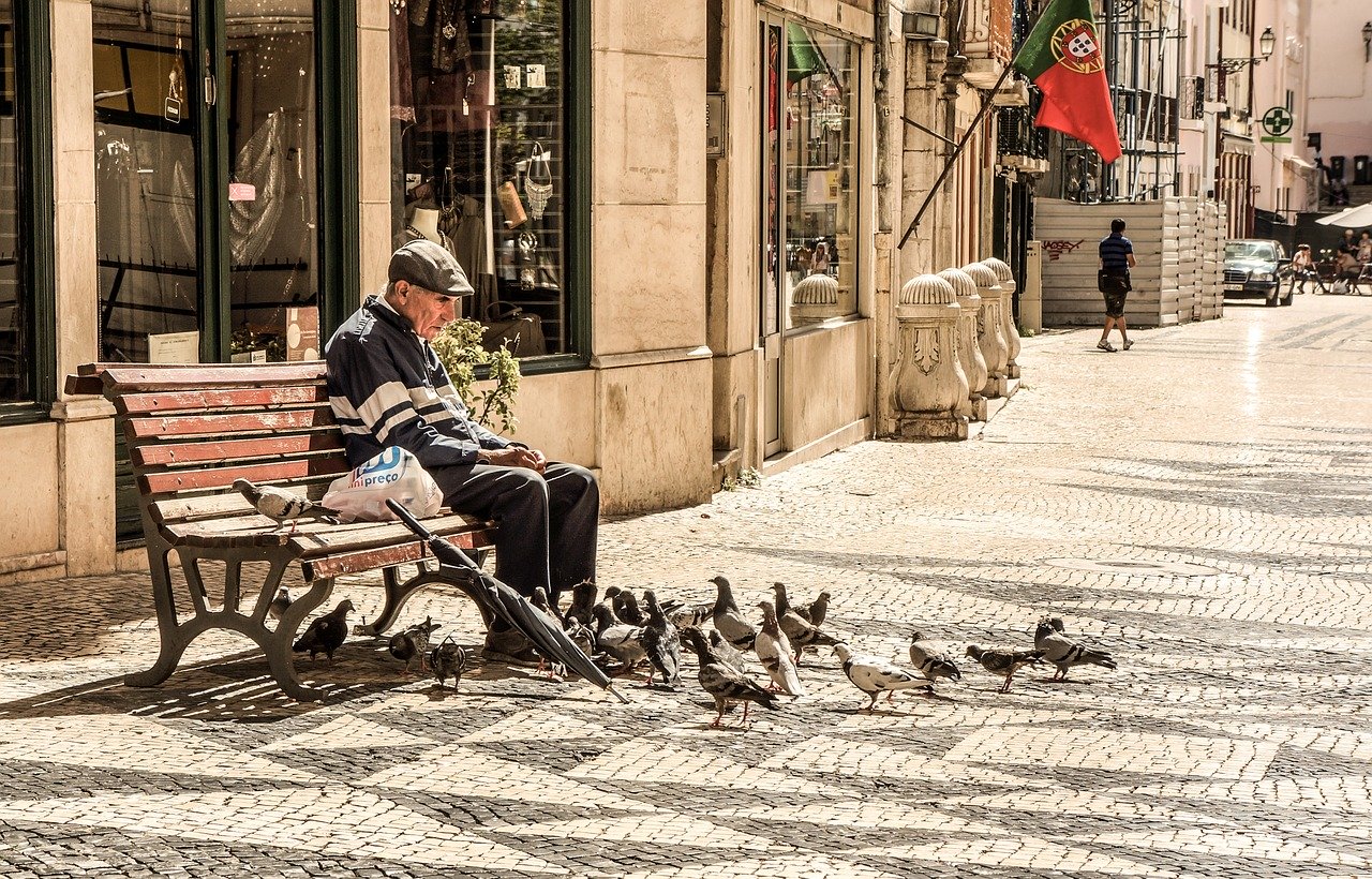Le pigeon s'est adapté au mode de vie urbain des grandes villes