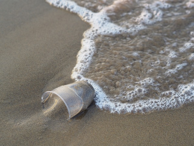 Quel impact a la pollution plastique sur la faune marine ?